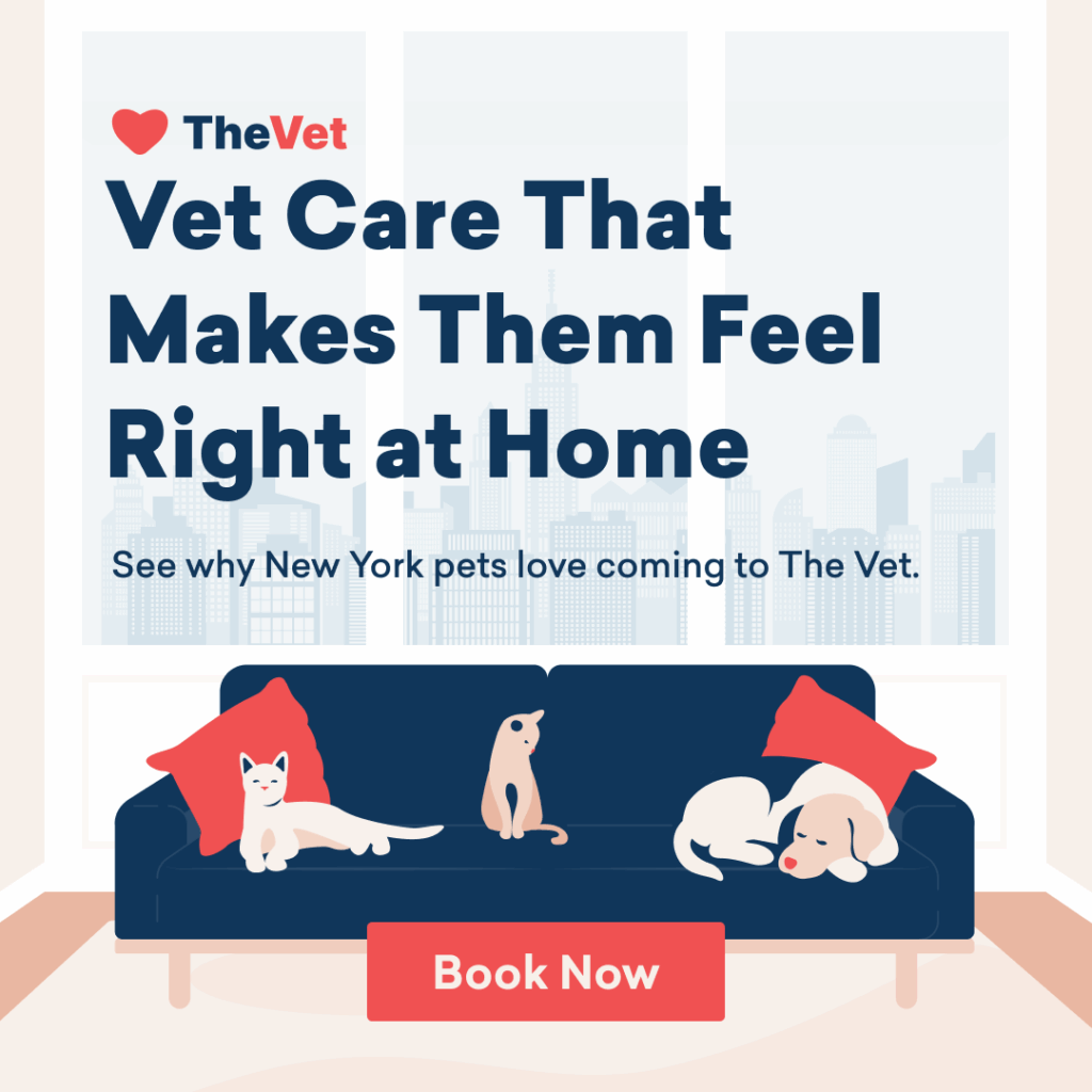 Ad that reads "Vet care that makes them feel right at home" and an illustration with three pets sharing and owning the couch in a new york city apartment. CTA button reads "book now"