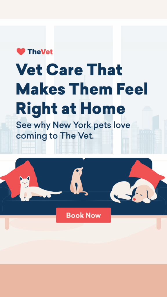 Ad that reads "Vet care that makes them feel right at home" and an illustration with three pets sharing and owning the couch in a new york city apartment. CTA button reads "book now"